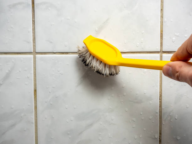 Best Mold Damage Repair  in St Leon, IN