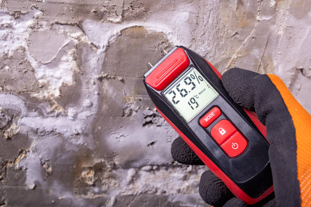 Home Mold Removal in St Leon, IN