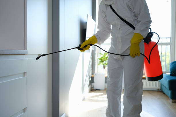 Best Residential Mold Removal  in St Leon, IN